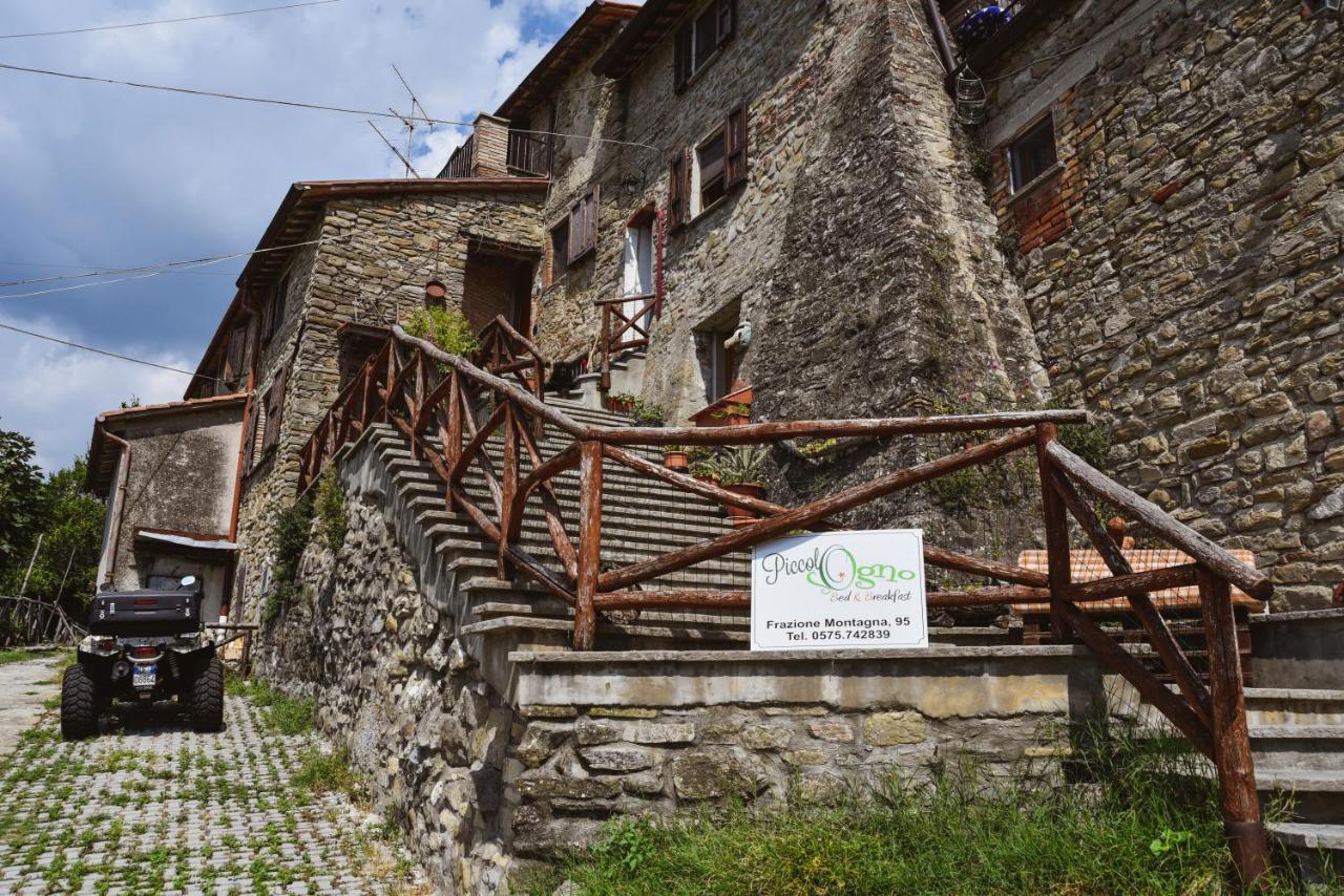 Piccolo Sogno B&B Sansepolcro Exterior photo