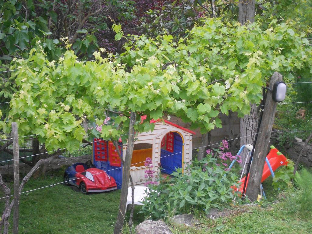 Piccolo Sogno B&B Sansepolcro Exterior photo